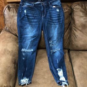 Ms Cello jeans worn 1x